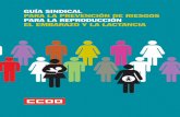 GUÍA SINDICAL PARA LA PREVENCIÓN DE RIESGOS PARA LA ... · biente de CCOO de Castilla y León) y Carmen Sesma (Secretaría de Salud Laboral y Medio Am-biente de CCOO de Navarra).