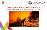 Programa de protección civil para incendios forestales, 2019cgproteccioncivil.edomex.gob.mx/sites... · Factores que intervienen en el comportamiento del fuego. 12 Las quemas producen.