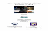 Estudio y evaluacin de callo de hacha (Atrina …...Estudio y evaluación de la pesquería de callo de hacha (Atrina tuberculosa) en la Región de Bahía de Kino, Sonora y Recomendaciones