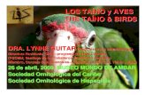 Directora Residente, CIEE—programa programa de Artes ... · LOS TAÍNO y AVES THE TAÍNO & BIRDS DRA. LYNNE GUITAR ... colonizar las costas fértiles de lo que hoy son las islas