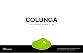 Colunga - Amazon Web Servicesminubepdfguide.s3.amazonaws.com/guide_63_994_233399_2017...Colunga, y ofrece a los visitantes una de las mejores vistas de Asturias, de su mar agitado,