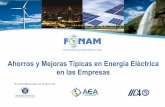 Ahorros y Mejoras Típicas en Energía Eléctrica en las Empresas · Maxima Demanda en Fuera de Punta 700,00 kW Consumo de Energía Reactiva 139 430,00 kVAr Consumo de Energía Reactiva