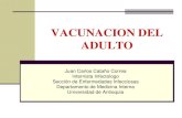 VACUNACION DEL ADULTO - Fundación Antioqueña · Juan Carlos Cataño Correa Internista Infectologo Sección de Enfermedades Infecciosas Departamento de Medicina Interna Universidad