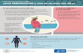 Respuesta de los CDC al ika ¿Está EMBARAZADA y …...Respuesta de los CDC al zika ¿Está EMBARAZADA y vive en un área con zika? Lo que sabemos acerca del zika Una mujer embarazada