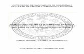 UNIVERSIDAD DE SAN CARLOS DE GUATEMALA FACULTAD DE …biblioteca.oj.gob.gt/digitales/51460.pdf · 2018-06-21 · universidad de san carlos de guatemala . facultad de ciencias jurÍdicas