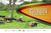 INFORME FINAL - mag.go.cr · La ganadería definitivamente seguirá siendo una actividad fundamental para el desarrollo social y económico de Costa Rica. Sin embargo, este desarrollo