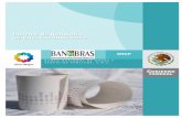 Informe de Rendición de Cuentas 2006-2012transparencia.banobras.gob.mx/wp-content/uploads/2016/05/...Informe de Rendición de Cuentas de la Administración Pública Federal 2006 –