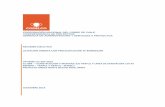 RESUMEN EJECUTIVO LICITACIÓN ABIERTA CON …w.codelco.cl/.../artic/20191217/asocfile/...cc_088.pdf · CC-088 – CONSTRUCCIÓN Y MONTAJE S/E TRAFUL Y LÍNEA DE DERIVACIÓN 110 kV