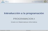 Grado en Matematicas Informática · o Los ordenadores sirven para resolver ... Representación del conjunto de operaciones que permiten resolver un problema ... programación •
