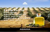 NEPTUNE - Adama Agricultural Solutions...germinación de las esporas del hongo, éstas incorporan el producto y se produce la liberación de los iones de cobre que interrumpen las