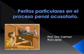 Prof. Dra. Carmen Ruiz Lópezproyectos.andi.com.co/Documents/PCFPUM/Peritos.pdf · producto multifuente o genérico, o incluso de cualquier otro que no cuente con registro sanitario,