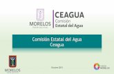 Comisión Estatal del Agua Ceaguaaportaciones de aguas residuales a las PTAR “Acapantzingo” en Cuernavaca y “La Regional” en Jojutla. El caudal tratado ha inc rementado en