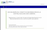 XVII REUNIÓN DEL COMITÉ DE INFORMACIÓN DE LA CENTRAL ... · Programa de Protección Contraincendios, revisión 3 (noviembre 2015) Modificación de diseño para la instalación