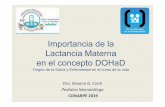 Importancia de la Lactancia Materna en el concepto DOHaD Conarpe... · 2019-11-12 · Mejor desarrollo motor. Correlación con duración de la LM. • CI > 2,6 puntos mediado por