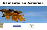 El monte en Asturiasmovil.asturias.es/Asturias/descargas/PDF_TEMAS/Agricultura/Politica... · Asturias tiene una superficie total de 1.060.357,12 hectáreas, de las que 764.598 son