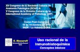 XV Congreso de la Sociedad Cubana de Anatomía Patológica ...files.sld.cu/scap/files/2019/11/Uso-racional-de-la-IHQ-parte-1a.pdf · CD 99 células de timo, Tumor de Ewing HMB 45