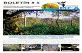bosquesandinos.orgbosquesandinos.org/wp-content/uploads/2017/09/BOLETIN-5-MCA.pdf · Con el apoyode la de aliadosse ha logrado e del Oso mamifero de Quito y del del Oso Andino mediante