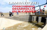 COSECHANDO DESARROLLO EN EL CAMPO · 2016-06-30 · más de 7000 familias y mejoró el riego en más de 12 225 ha. Otro proyecto importante es el Canal de Conduc-ción Reque, que