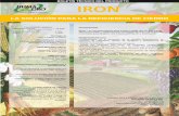 LA SOLUCIÓN PARA LA DEFICIENCIA DE FIERROagromicrobiotech.com/wp-content/uploads/2016/01/Huma-Gro-Iron-1.pdf · mayoría de las soluciones de fertilizantes y herbicidas para mejorar