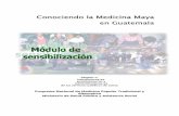 ConociendolaMedicinaMaya enGuatemalapiesdeoccidente.org.gt/biblioteca/MedicinaMaya1.pdf · terapéutica maya, cada uno de las especialidades (La comadrona, curador@ en general, la