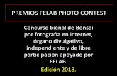 PREMIOS FELAB PHOTO CONTEST...PREMIOS FELAB PHOTO CONTEST Concurso bienal de Bonsai por fotografía en internet, órgano divulgativo, independiente y de libre participación apoyado