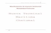 Nueva Terminal Marítima Chetumalsinat.semarnat.gob.mx/dgiraDocs/documentos/qroo/e... · límites de la terminal marítima de Chetumal, por lo que su selección obedece a la necesidad