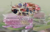 DEMOSTRACIÓN DE PODA DE FRUTALES - AgroCabildo · 2020-01-16 · DEMOSTRACIÓN DE PODA DE FRUTALES Día 6 de Febrero, a las 11:00 horas, en el Campo de Tiro de Ravelo, El Sauzal