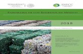 Panorama de los Residuos en México - gob.mx...Panorama de los Residuos en México Tabla 1. Estructura general del cuestionario de residuos sólidos urbanos 2015 Sección 1 Información