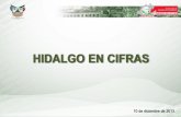 HIDALGO EN CIFRAS Consultado en: …...Del periodo 2003 a 2011, el PIB por habitante del estado de Hidalgo creció en 7 mil 413 pesos. Hidalgo registra una variación anual entre 2010