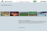 INFORME FINAL...Este documento corresponde al Informe Final de la Consultoría ^Apoyo en la generación y análisis de las causas de la deforestación, degradación forestal y no aumentos