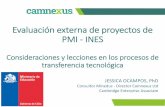 Evaluación externa de proyectos de PMI - INESdfi.mineduc.cl/usuarios/MECESUP/.../presentaciones/... · Evaluación externa de proyectos de PMI - INES Consideraciones y lecciones