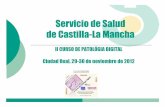 Servicio de Salud de Castilla-La Mancha · 2015-06-16 · Servicio de Salud de Castilla-La Mancha Noviembre 2012 3 Conceptos básicos de seguridad y lenguaje informático ¿Podemos