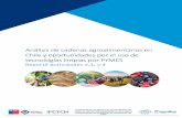 Análisis de cadenas agroalimentarias en Chile y ...Análisis de cadenas agroalimentarias en Chile y oportunidades por el uso de tecnologías limpias por PYMES Reporte Actividades