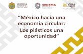 “México hacia una economía circular: Los plásticos una oportunidad · 2019-05-20 · Secretaria de Medio Ambiente de Veracruz ... de personas Poza Rica metropolitanas Xalapa