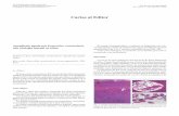 Cartas al Editor - ISCIIIscielo.isciii.es/pdf/diges/v104n7/es_carta6.pdf · En conclusión, la revisión y estudio histológico sistemático de los apéndices es fundamental. El hallazgo
