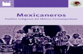 Mexicaneros - Gobierno | gob.mxMexicaneros de 2000, en el municipio del Mezquital no se registraron datos de hablantes de mexicano; sólo de huichol (1 397) y te-pehuano (14 138).2