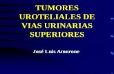 TUMORES UROTELIALES DE VIAS URINARIAS …amorone.com/wp-content/uploads/2018/03/TUMORES-UROTELIO...UROTELIALES DE VIAS URINARIAS SUPERIORES José Luis Amorone carcinomas uroteliales