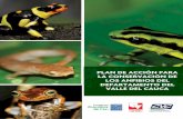 PLAN DE ACCIÓN PARA LA CONSERVACIÓN DE LOS ANFIBIOS … · 2019-03-20 · El Plan de Acción para la Conservación de los Anfibios del Valle del Cauca se formuló en alianza con