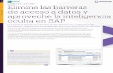 CONECTOR SAP® ERP Elimine las barreras de acceso a datos y ... · Con miles de tablas en aplicaciones SAP con saber qué información representan las tablas puede representar un