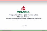 Programa Estratégico Tecnológico PET de PemexPor primera vez en la historia de Pemex se cuenta con un documento rector que permite orientar las acciones de Investigación y Desarrollo