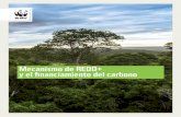 Mecanismo de REDD+ y el financiamiento del carbono · Mecanismo de REDD+ y el financiamiento del carbono 7 2. ¿Qué es REDD+? Las siglas REDD se refieren a las iniciativas y mecanismos