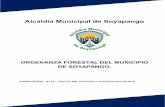 ORDENANZA FORESTAL DEL MUNICIPIO DE SOYAPANGO.alcaldiasoyapango.com/info-transparencia/wp-content/... · 2019-06-18 · ALCALDÍA MUNICIPAL DE SOYAPANGO ORDENANZA FORESTAL DEL MUNICIPIO