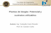 Plantas de biogás- Potencial y sustratos utilizables · 2017-06-19 · aus: Faustzahlen Biogas, KTBL, Darmstadt, 2009 ... •SIG Plantas de biogás en la provincia •Optimización