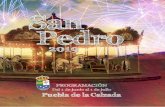 PROGRAMA - culturapuebla.com Programacion/2019/Junio2019.pdf · 2020-03-19 · Concejalía de Deportes y que se celebra anualmente en Puebla de la Calzada como una de las actividades