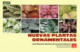 ¿QUÉ SON NUEVAS PLANTAS ORNAMENTALES?arbolesornamentales.es/NUEVAS PLANTAS ORNAMENTALES2.pdf · mayoría de lo que llamamos nuevas plantas en realidad no son nuevas y siempre han