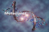 Mutaciones y Cáncer - WordPress.com...Mutaciones Mutación es una alteración en el material genético (ADN, cromosomas, cariotipo) producto de un daño mal reparado, el cual se puede
