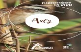 Índice...programa de producto “Birding Co-munitat Valenciana” y que ofrecen diferentes productos turísticos relacionados con el birding, todos ellos de gran calidad, con los