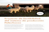 Proyecto de factibilidad del sistema de producción PelechucosUna Alpaca puede pesar 50 KG en promedio, en Pelechuco debido a las condiciones adversas constantes el peso promedio de