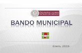 Bando Municipal€¦ · Bando Municipal de Toluca 2012, publicado en la Gaceta del Gobierno el 4 de abril de 2012, al señalar como una infracción a las disposiciones sobre el orden