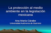 La protección al medio ambiente en la legislación mexicana€¦ · Ley General de Cambio Climático Ley de la Industria Eléctrica Ley de la Comisión Federal de Electricidad Ley